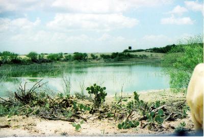 a shot of presa grande