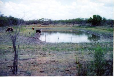 another shot of the stock tank shared with lanese during drought 