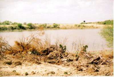 presa grande in spring 2006