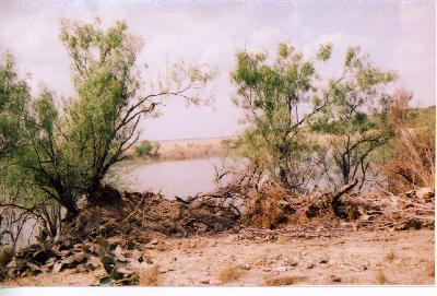 3rd shot of presa grande in spring 2006