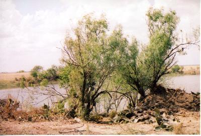 4th shot of presa grande in spring 2006