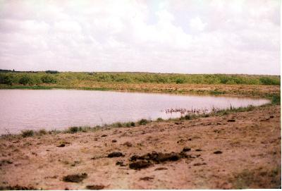 new stock tank in 500 acres portion of ranch. built in 2003 -- 10,055 cu yards