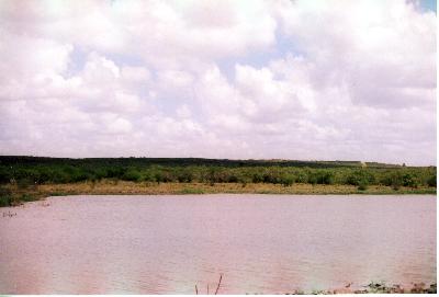 looking at the new stock tank in 500 acres portion of ranch. built in 2003 -- 10,055 cu yards