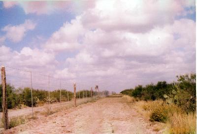 8' high deer fence one one side of survey 435 covering 5416.68' length 