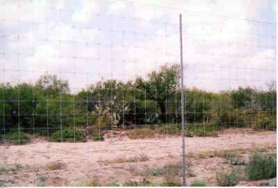 another look at the 8' high deer fence one one side of survey 435 covering 5416.68' length 